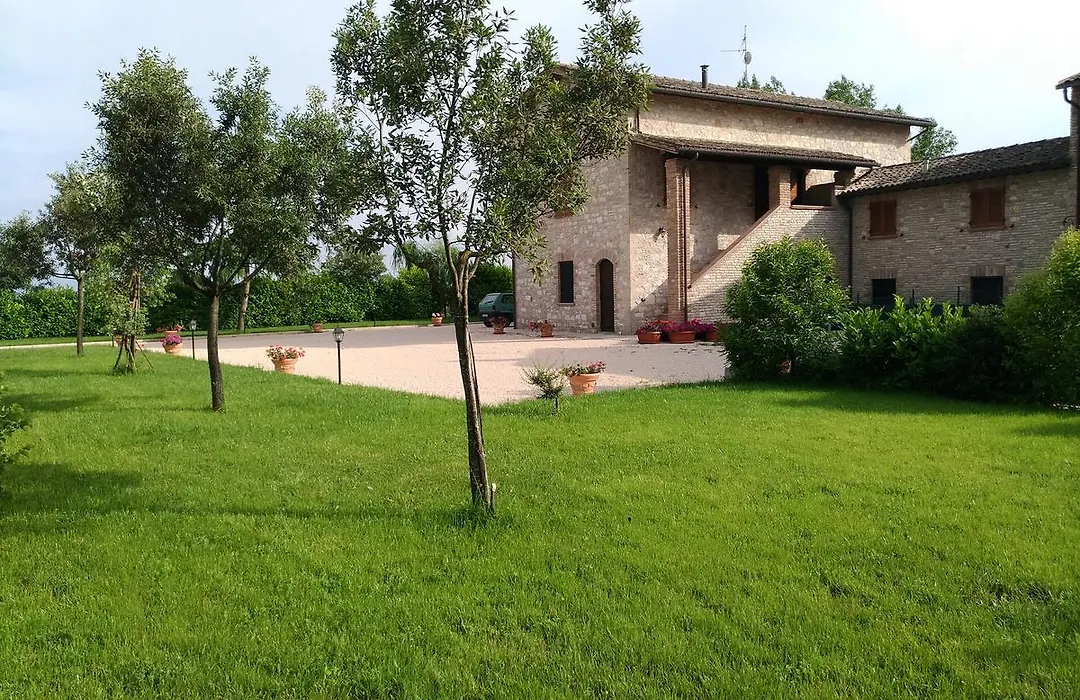 Il Sagrato di Assisi-1
